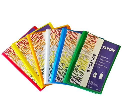 Protege-documentse-Evidence-Site